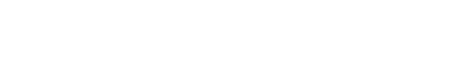 Logo Indurex white